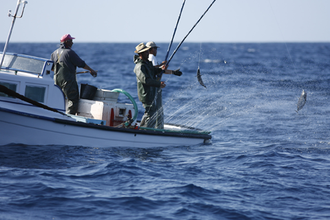 Governo dos Açores regulamente a prática de pesca ‘em mancha’