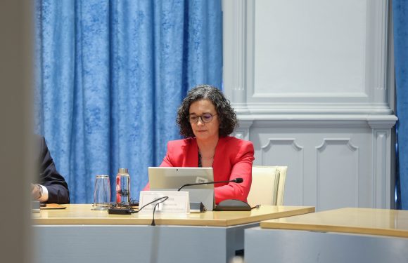 Açores vão ter grupo disciplinar de viola da terra, anuncia Sofia Ribeiro