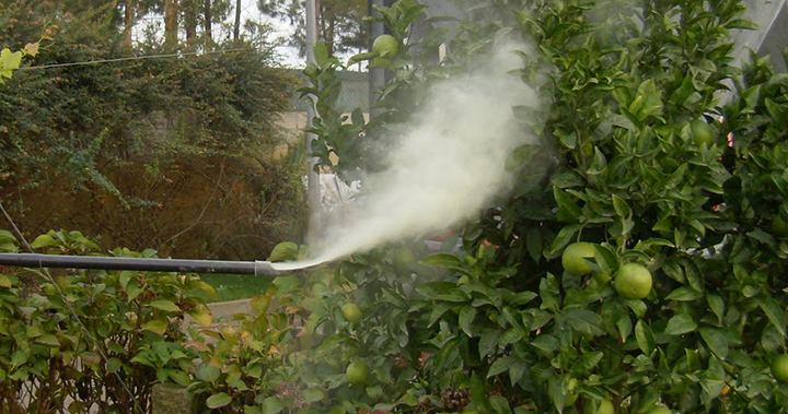 Novo regime de aplicação de produtos fitofarmacêuticos nos Açores minimiza riscos ambientais