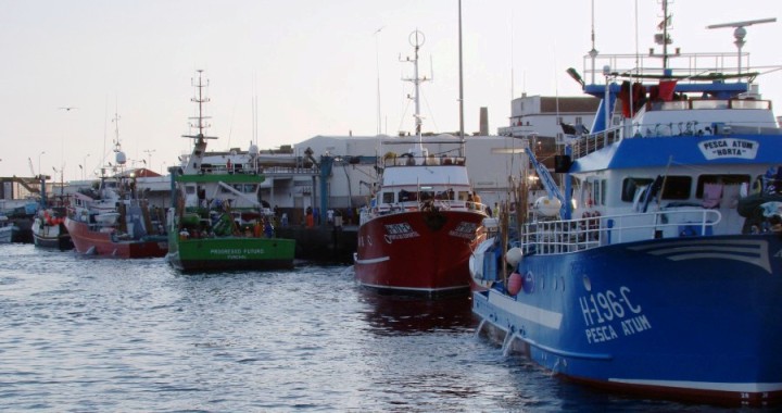 Direção Regional das Pescas desenvolve ações para capacitação de pescadores