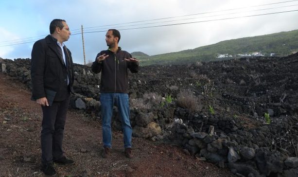 Candidaturas ao novo VITIS para apoio à reestruturação e reconversão das vinhas nos Açores superaram as expetativas, afirma João Ponte