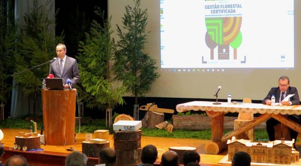 Governo dos Açores adjudica “muito em breve” venda de 155 hectares de madeira de criptoméria certificada, anuncia João Ponte