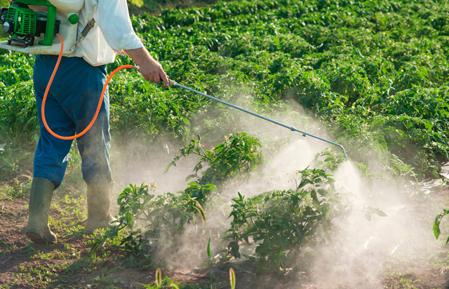 Governo dos Açores promove formação de aplicadores de produtos fitofarmacêuticos para 2.400 agricultores