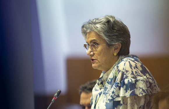 Isabel Teixeira acusa Governo dos Açores de não apresentar medidas eficazes para apoiar famílias e empresas de São Jorge