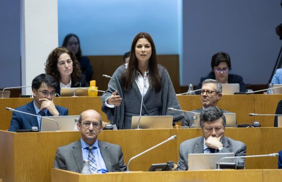 Parlamento aprova novo modelo de educação inclusiva para os Açores
