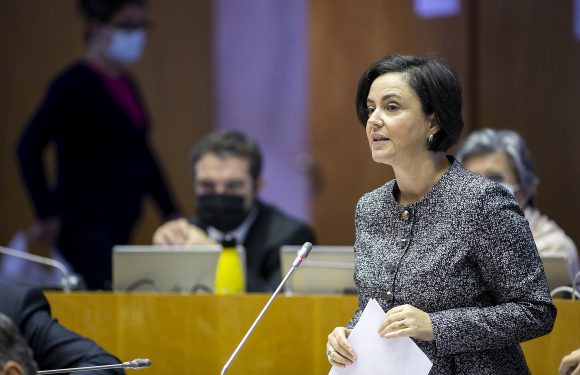 PS aprova modelo de Educação Inclusiva nos Açores