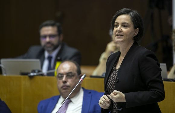 PS aprova redução do preço das refeições escolares