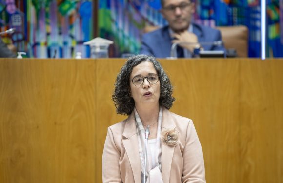 Parlamento aprova proposta do Governo dos Açores sobre novo diploma de gestão das escolas