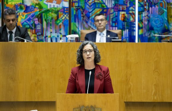 Novo Estatuto da Carreira Docente aprovado por unanimidade no Parlamento dos Açores