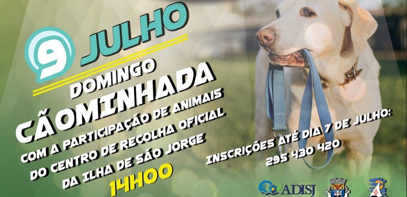 A já habitual Cãominhada regressa dia 9 de julho – Patrícia Soares afirma ser uma iniciativa “com muita adesão” (c/áudio)