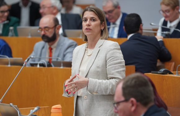 CDS-PP manifesta-se contra encerramento de balcões de venda da SATA (c/áudio)