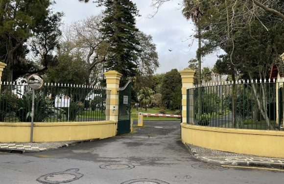 Federação Agrícola dos Açores lamenta a fraca adesão aos cursos de Ciências Agrárias da Universidade dos Açores