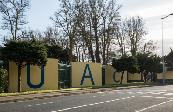 Programas de verão na UAc arrancam a 1 de julho