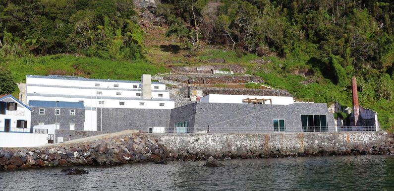 Museu Francisco de Lacerda com uma maior procura (c/áudio)