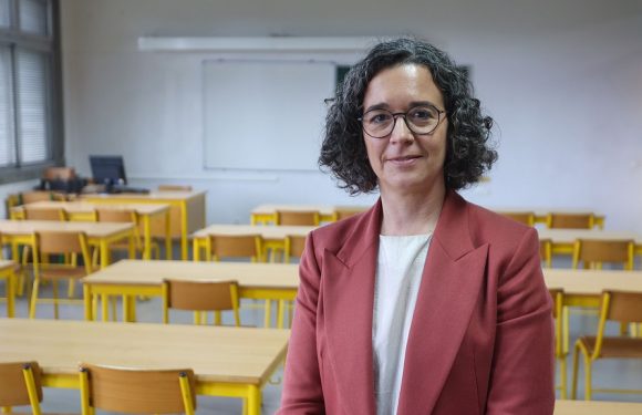 Alunos açorianos com melhor média a matemática e ciências do 8.º ano que o todo nacional em estudo internacional