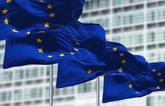 Candidaturas ao Colégio da Europa decorrem até 15 de janeiro