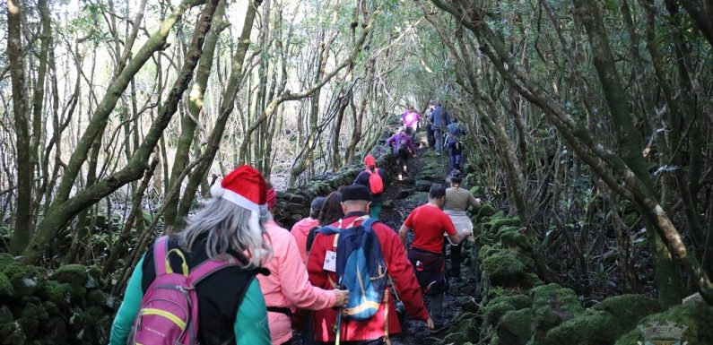 Trinta e cinco pessoas participaram no quarto trilho do TOC’ANDAR