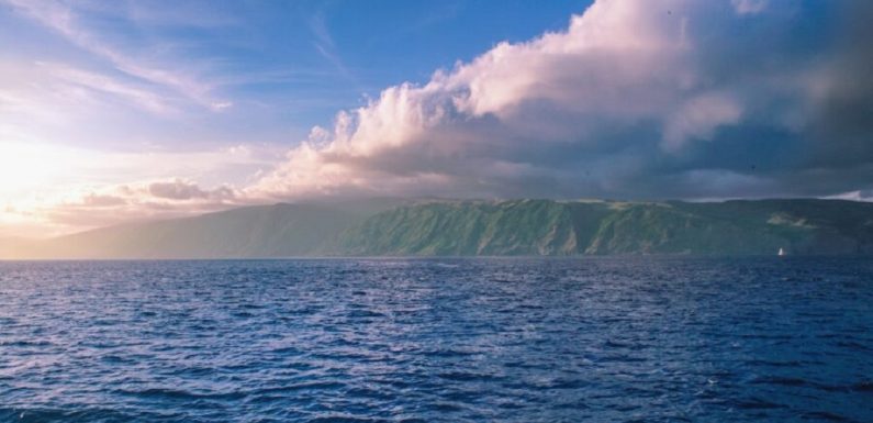 Açores com 10 milhões para implementar maior rede de áreas marinhas protegidas do Atlântico norte