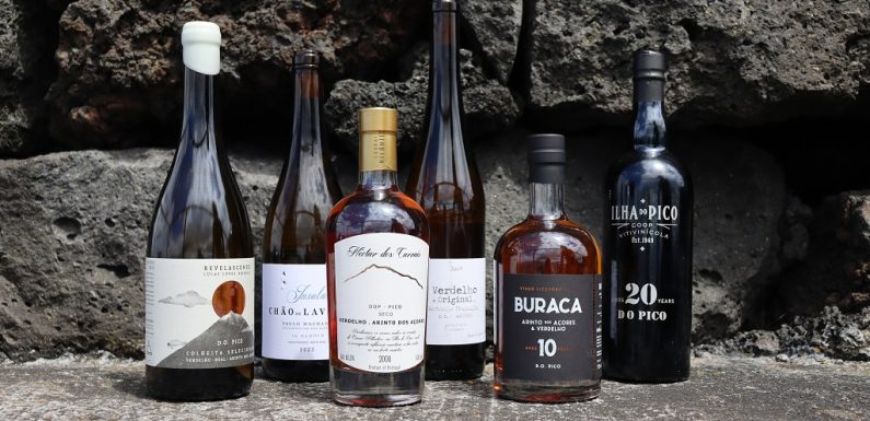 Vinhos do Pico Premiados No Maior Concurso Enológico do País
