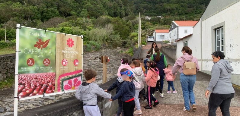 A Casa do Parque de São Jorge celebrou o Dia Internacional da Biodiversidade com atividade de campo