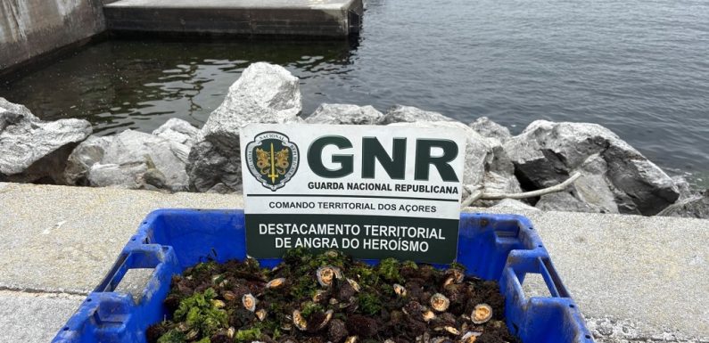 Apreensão de 55 quilos de lapas na Ilha Terceira