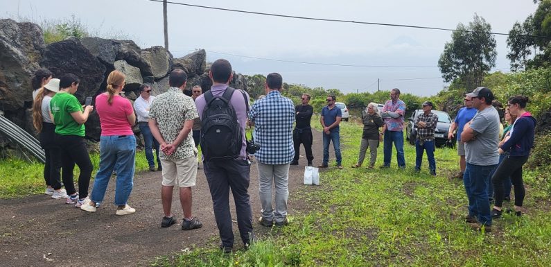 AçoresBio debateu em São Jorge que produtos e setores podem trazer mais valor acrescentado à ilha (c/áudio)