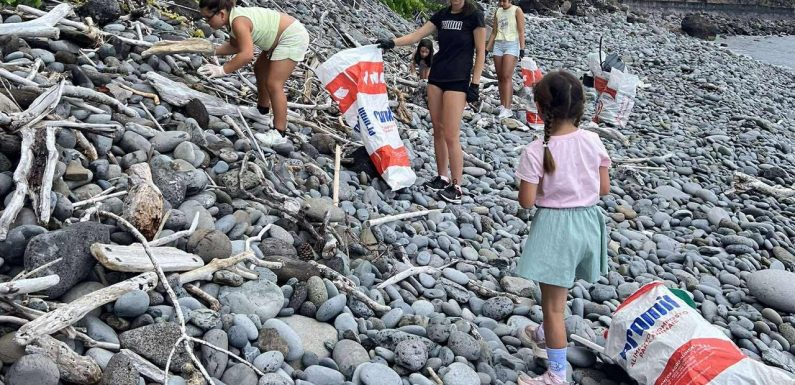 Ação de limpeza costeira na Fajã de São João
