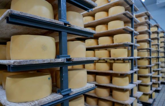 Queijo de São Jorge confirma que os produtos açorianos são competitivos a nível mundial