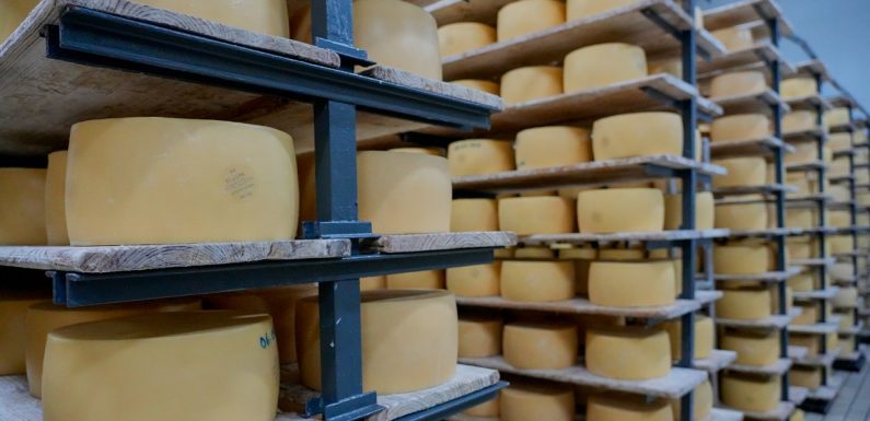 Queijo de São Jorge confirma que os produtos açorianos são competitivos a nível mundial