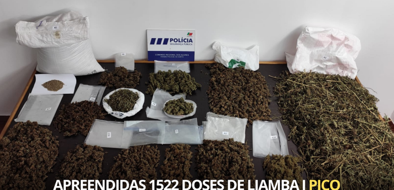 PSP deteve suspeito do crime de tráfico de estupefacientes na ilha do Pico